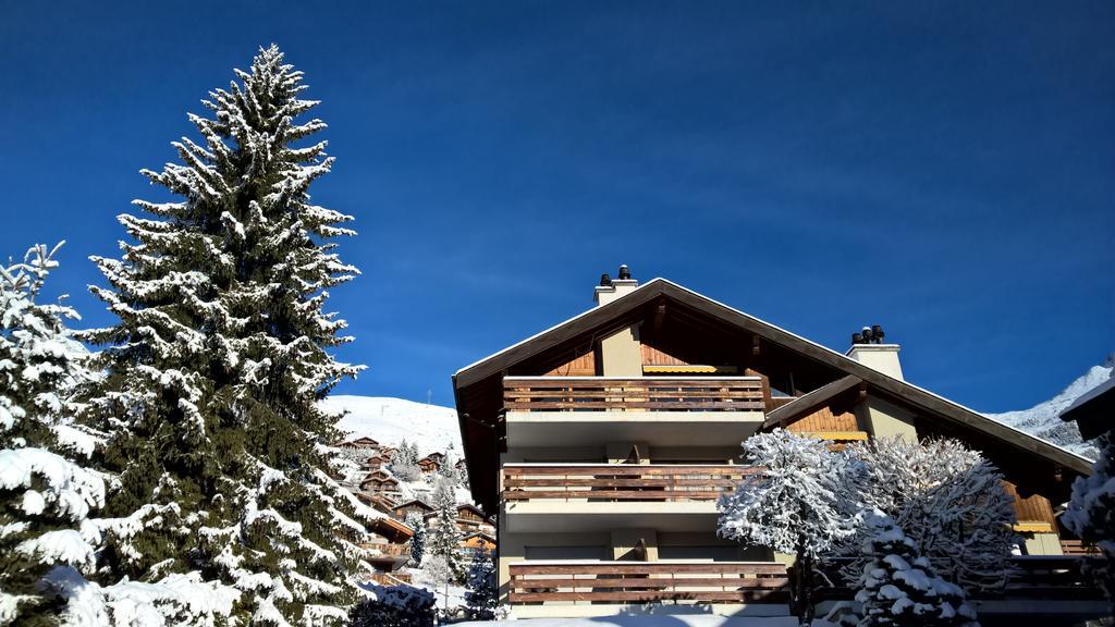 Rodasia Verbier Luaran gambar