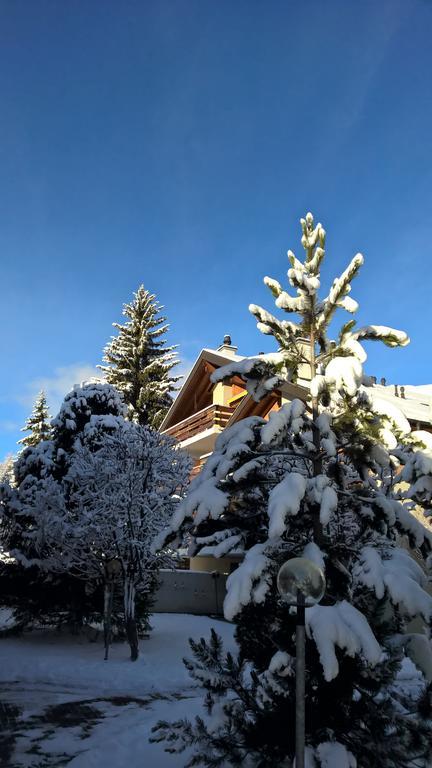 Rodasia Verbier Luaran gambar