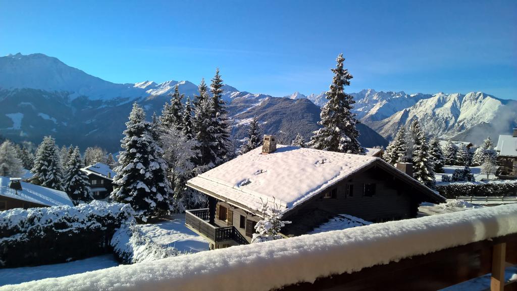 Rodasia Verbier Luaran gambar