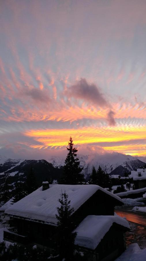 Rodasia Verbier Luaran gambar